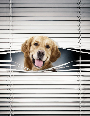 Blackout roller blind for window golden dog pattern