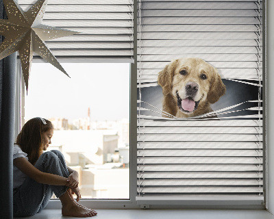 Blackout roller blind for window Golden Dog