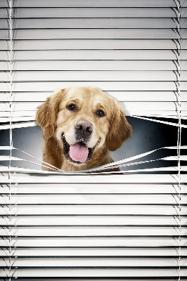 Blackout roller blind for window golden dog pattern