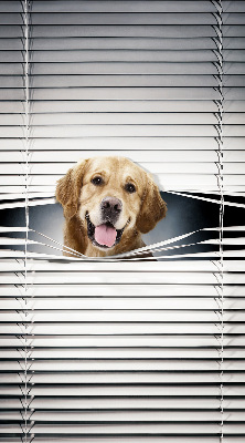 Blackout roller blind for window Golden Dog