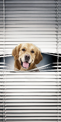Blackout roller blind for window Golden Dog