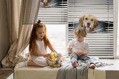 Blackout roller blind for window Golden Dog
