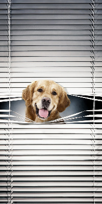 Blackout roller blind for window Golden Dog
