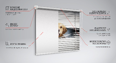 Blackout roller blind for window Golden Dog