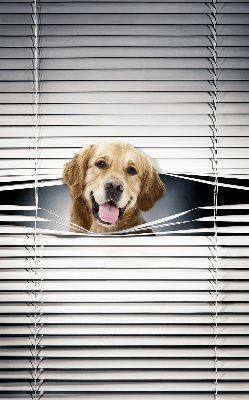 Blackout roller blind for window Golden Dog