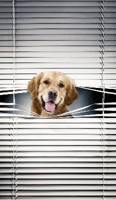 Blackout roller blind for window Golden Dog