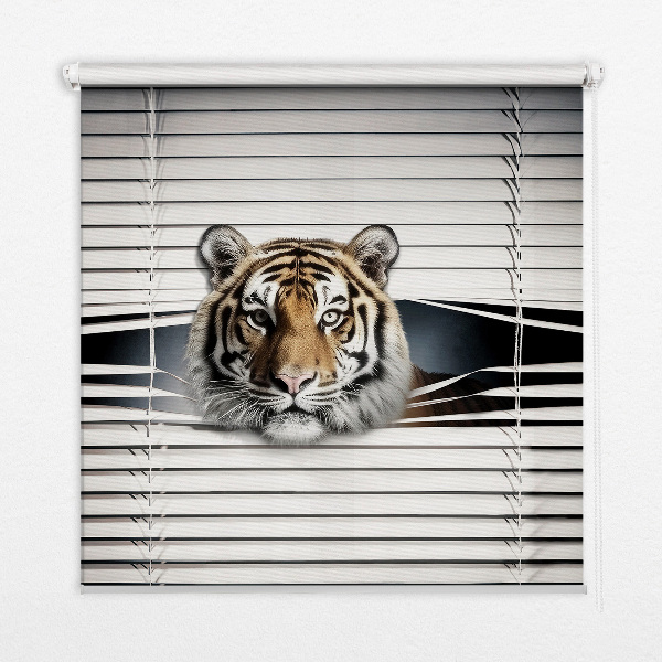 Fabric roller blind for window Tiger