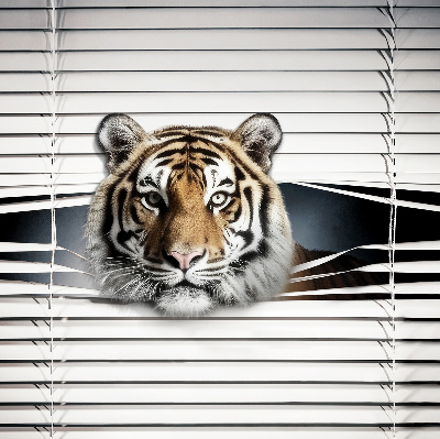 Fabric roller blind for window Tiger