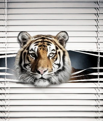 Fabric roller blind for window Tiger