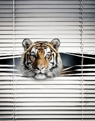 Fabric roller blind for window Tiger