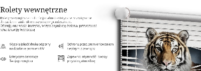 Fabric roller blind for window Tiger