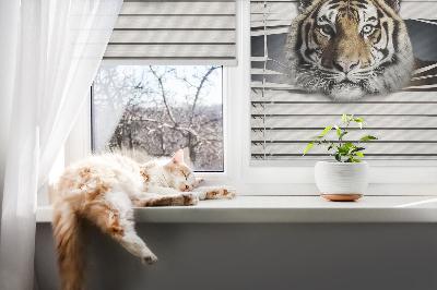 Fabric roller blind for window Tiger
