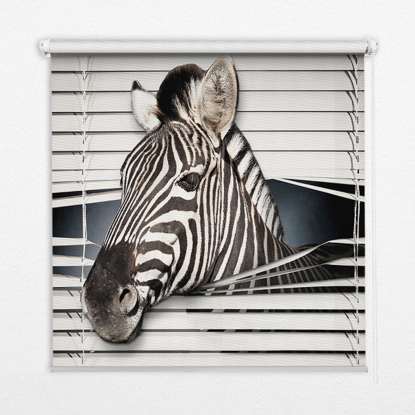 Blackout roller blind Ribs