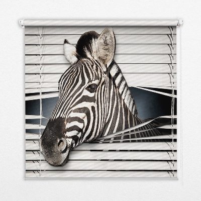 Blackout roller blind ribs design