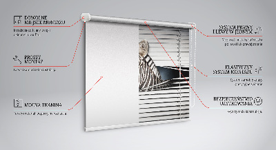 Blackout roller blind Ribs