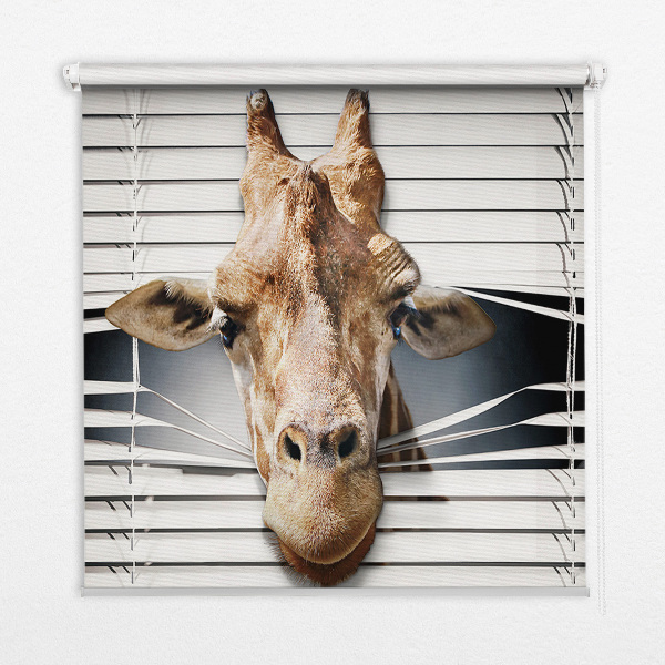 Blackout roller blind for window Giraffe