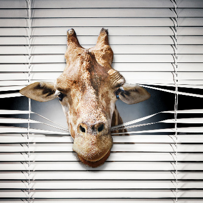 Blackout roller blind for window Giraffe