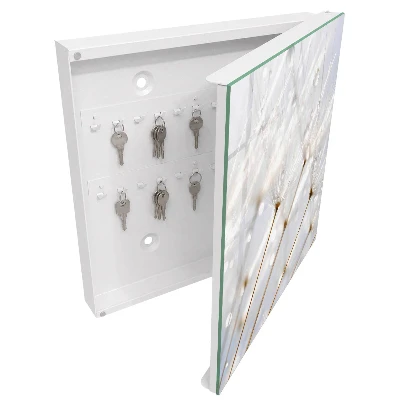 Lightness of nature Wall mounted key box