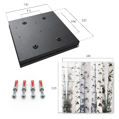 Birch trunks Key box for wall