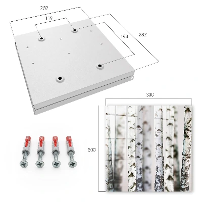 Birch trunks Key box for wall