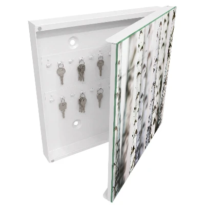 Birch trunks Key box for wall