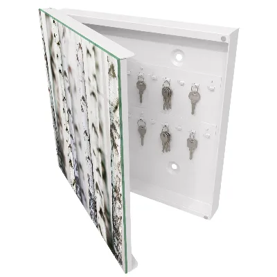 Birch trunks Key box for wall