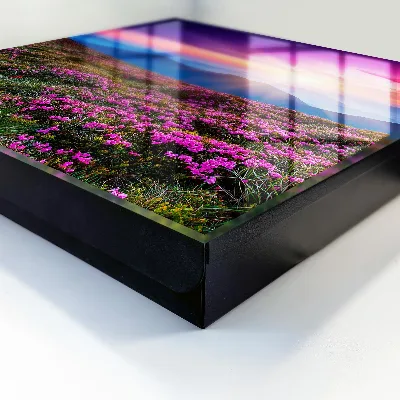 Mountain morning Key cabinet