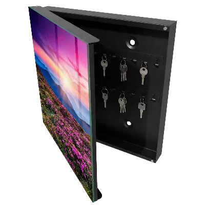 Key cabinet mountain morning design