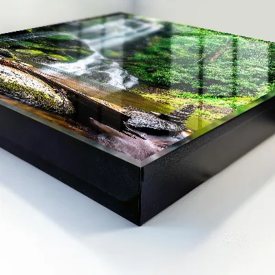 Natural oasis Wall mounted key box