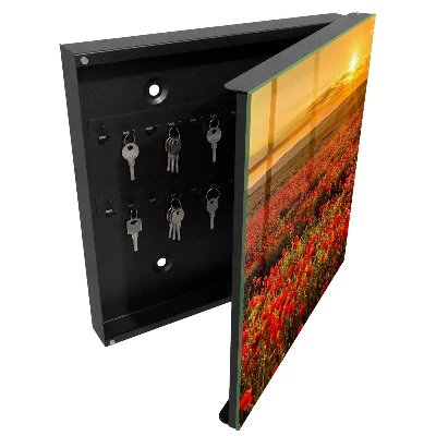 Poppy fields Key cabinet