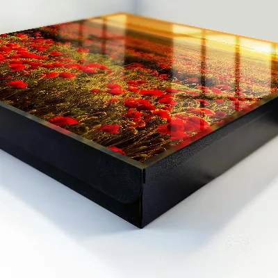 Key cabinet with poppy fields design