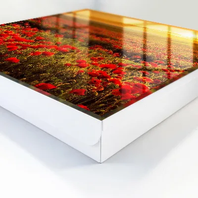 Poppy fields Key cabinet