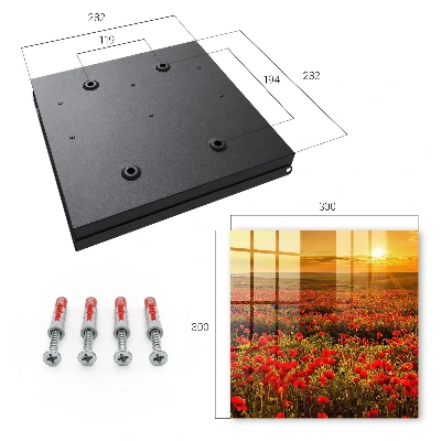Poppy fields Key cabinet