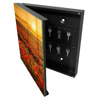 Poppy fields Key cabinet