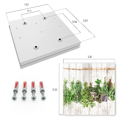 Wall mounted key box dried herbs