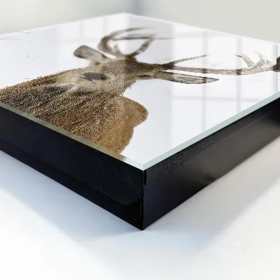Winter deer Wall mounted key box
