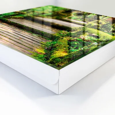 Forest bridge Key cabinet