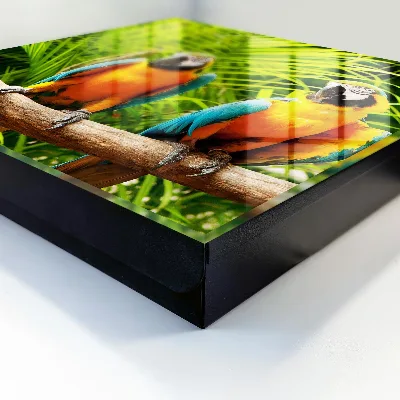 Wall-mounted key box with tropical bird design
