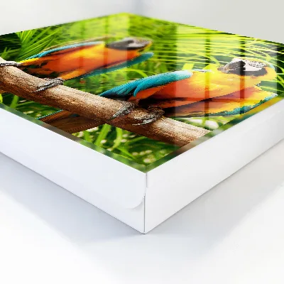 Tropical birds Key box for wall