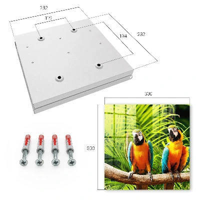 Tropical birds Key box for wall