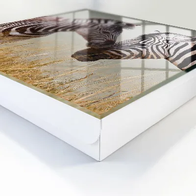 Zebras together Wall mounted key box