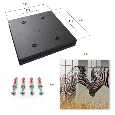 Zebras together Wall mounted key box