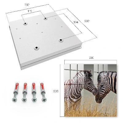 Wall mounted key box with Zebras together design