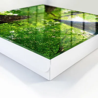 Forest sky Key box for wall