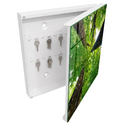 Forest sky Key box for wall