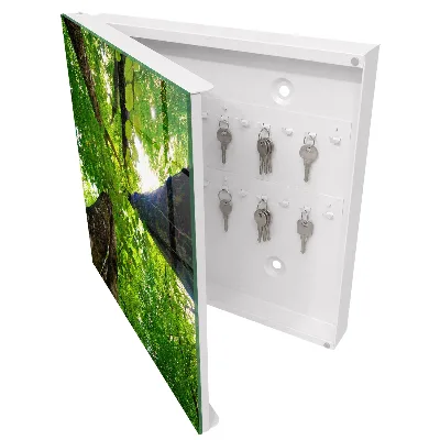 Forest sky Key box for wall