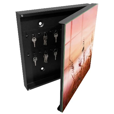 Wall mounted key box grass at dawn design
