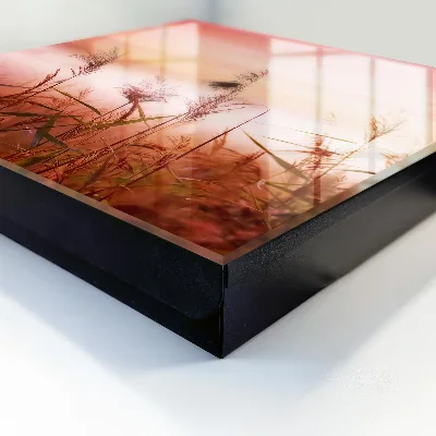 Grass at dawn Wall mounted key box