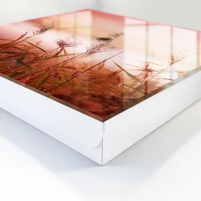 Grass at dawn Wall mounted key box