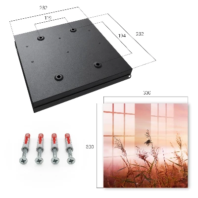 Grass at dawn Wall mounted key box